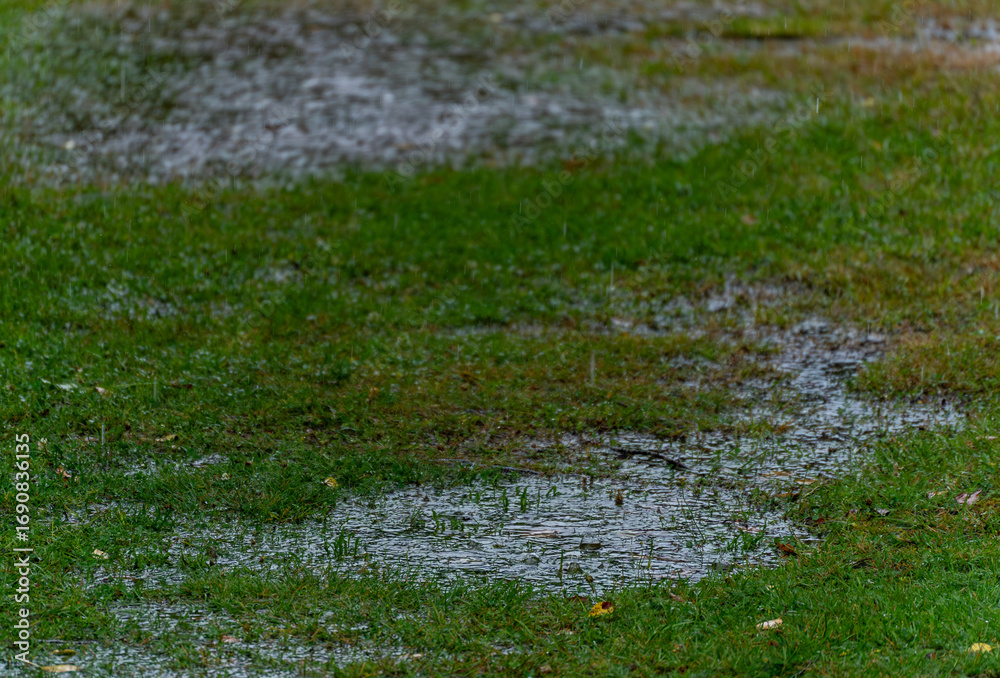 Fototapeta premium Rain flooded the green field.Puddles on the green grass.