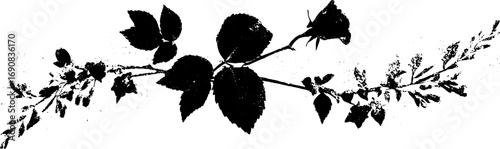 Black and white grunge ivy illustration set for design and decor