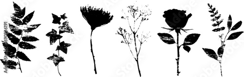 Black and white grunge ivy and floral silhouette set for vintage design