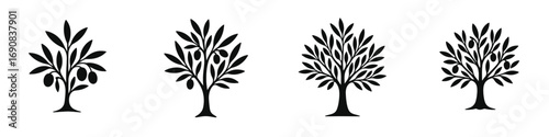 Set of four black olive tree silhouettes isolated on a white background, simple graphic icons for nature and food concepts
