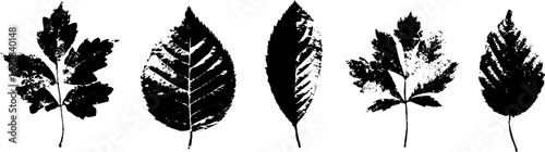 Grunge black and white leaf set for nature inspired designs