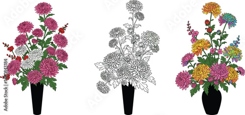 Colorful chrysanthemum flower bouquets in vases, hand-drawn floral vector set, line art and color illustrations, botanical home decor clipart