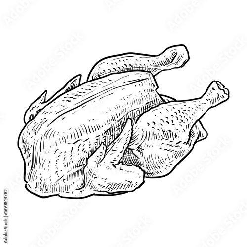 raw fresh chicken vector line art hand drawn illustration
