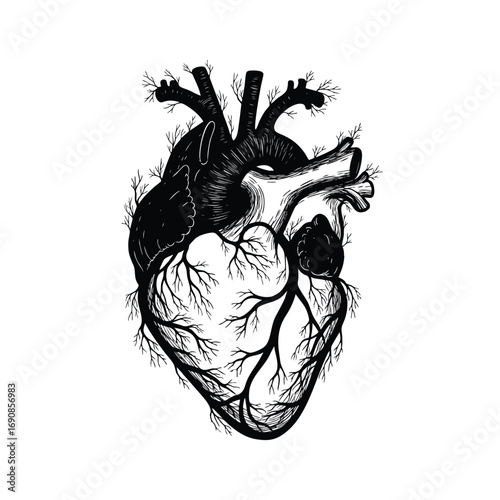 Artistic black and white human heart with tree branchlike arteries and veins.