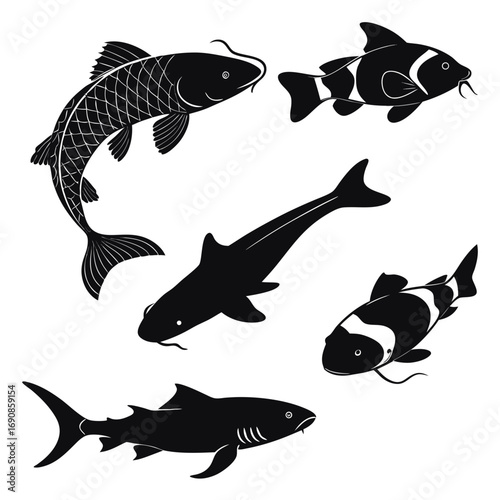 Collection of diverse fish silhouettes including a detailed koi carp a clownfish a shark and other aquatic creatures in black on a white background symbolizing marine life and underwater ecosystems