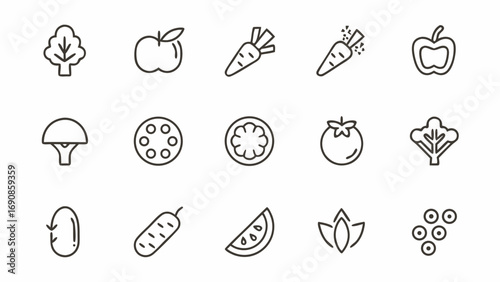Illustration of various fruits and vegetables including apple carrot tomato and other produce in line art style