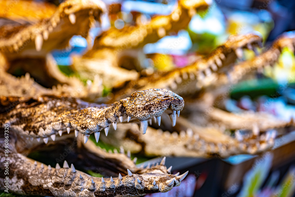 Obraz premium Street food sold at Ao Nang Landmark Night Market, Thailand