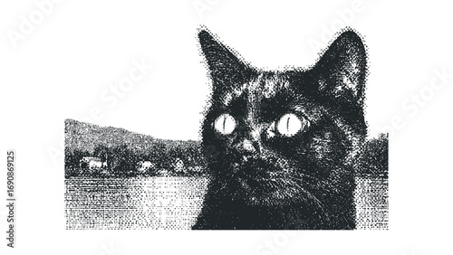 Close up of a black cat head with intense eyes on transparent background. Vector hand drawn illustration