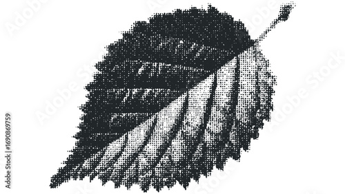 Textured leaf silhouette with dark grey halftone dots on transparent background. Vector hand drawn illustration
