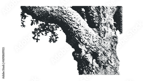 Close Up of Textured Tree Bark and Branches on Transparent Background. Vector hand drawn illustration