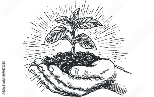 Hand holding sprouting plant on transparent. Vector hand drawn illustration