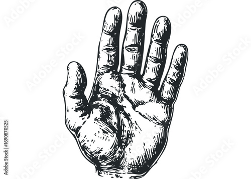 Hand with open palm gesturing stop or greeting isolated on white. Vector hand drawn illustration