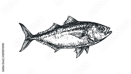 Detailed Sketch of a Fish on Transparent Background. Vector hand drawn illustration