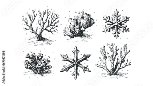 Hand Drawn Branching Tree Coral and Snowflakes. Vector hand drawn illustration