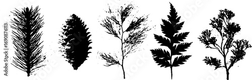 Monochrome grunge pine trees and cones set for design and decor