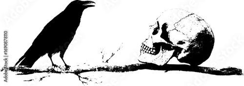 Grunge black and white raven and skull illustration for halloween design