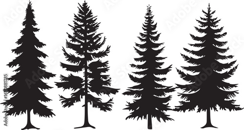 Tree Silhouette Vector Bundle
