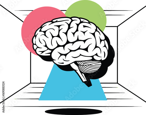 Human Brain Cognitive Function Neuroanatomy Mental Health Illustration