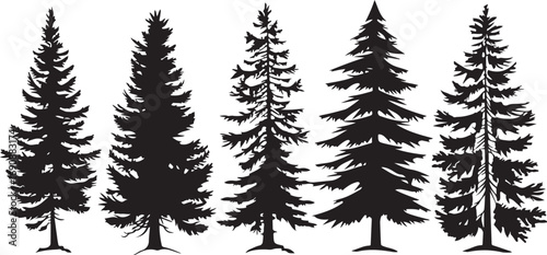 Tree Silhouette Vector Bundle