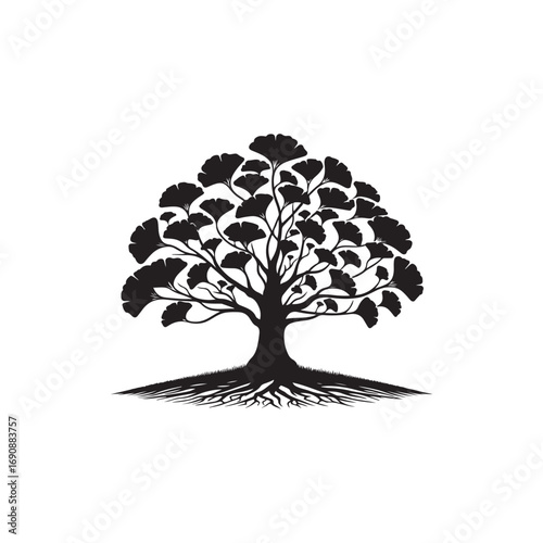 Ginkgo tree Vector (1).eps