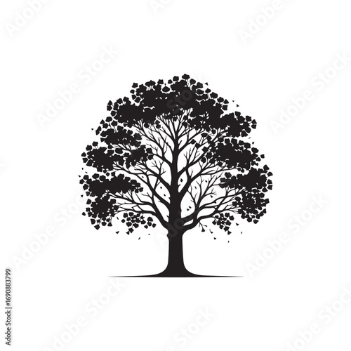 Ginkgo tree Vector (4).eps
