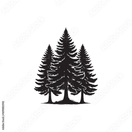 Hemlock tree Vector (1).eps
