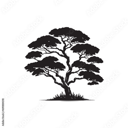 Juniper tree Vector (3).eps