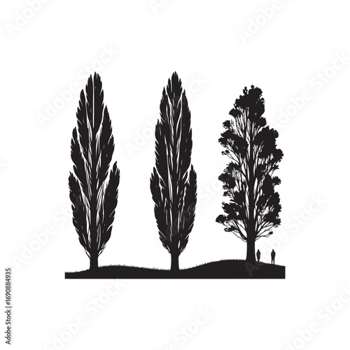 Poplar tree Vector (1).eps