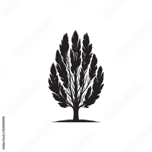 Poplar tree Vector (2).eps
