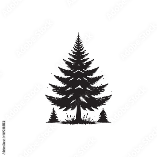 Spruce tree Vector (1).eps