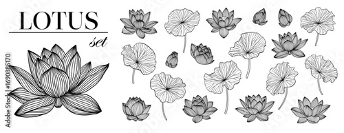 Waterlily flowers and leaves line art collection, isolated lotus flower clip arts. Set of beautiful monochrome, black and white lotus flower isolated. for greeting card, postcard and invitations
