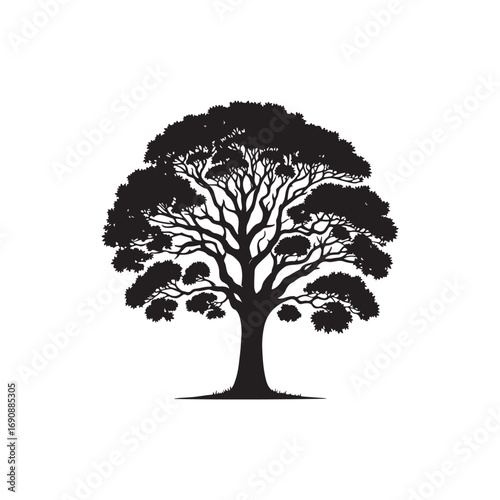 Sycamore tree Vector (4).eps