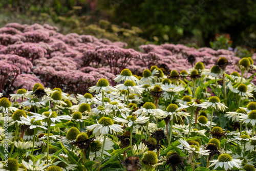 Bild auf Leinwand Stunning, colourful border at Wisley garden, Surrey UK
