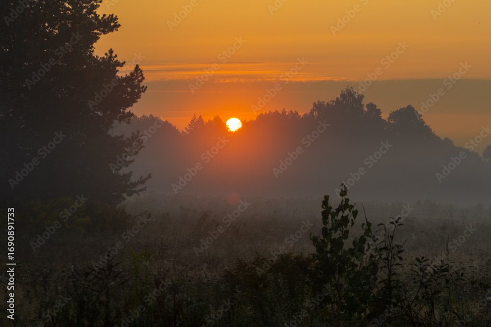 Fototapeta premium Bright Sunrise Over Autumn Forest at Field’s Edge