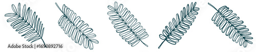 Botanical Fern Leaf PNG for Invitation, Eco Branding, and Background Art