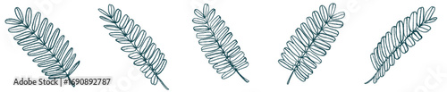 Botanical Fern Leaf PNG for Invitation, Eco Branding, and Background Art