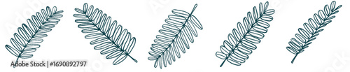 Botanical Fern Leaf PNG for Invitation, Eco Branding, and Background Art