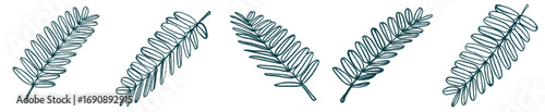 Botanical Fern Leaf PNG for Invitation, Eco Branding, and Background Art