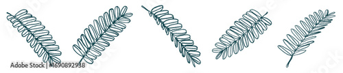 Botanical Fern Leaf PNG for Invitation, Eco Branding, and Background Art