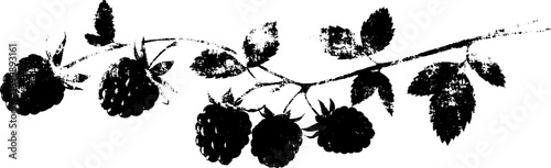 Grunge black and white strawberry silhouette set for urban art and design