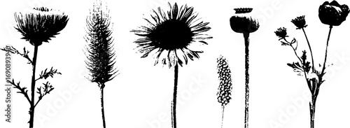 Grunge black and white floral silhouettes for artistic design and decoration