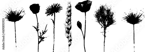Grunge black and white botanical silhouettes for vintage design and decoration