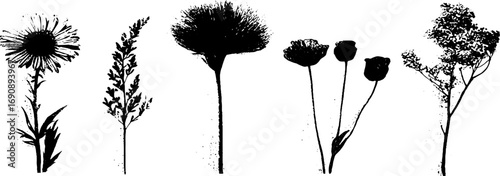 Grunge black and white floral silhouettes set for design and art projects