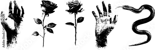 Grunge black and white tattoo designs featuring hands roses and snake for artistic projects