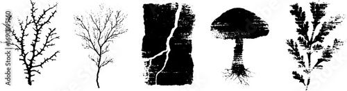 Grunge black and white thorn and nature silhouette set for edgy design projects