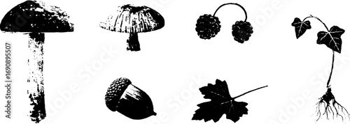 Grunge black and white nature illustration set of toadstools, berries, acorn, and leaves for rustic designs