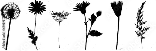 Grunge black and white wildflower silhouettes for nature-inspired design projects