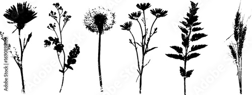 Grunge black and white botanical silhouettes for nature and design projects
