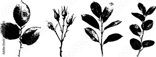 Grunge black and white set of wilted leaves and branches for design projects