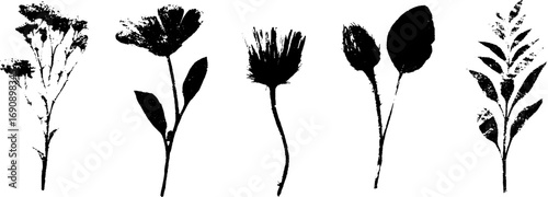 Black and white grunge floral silhouettes for artistic design